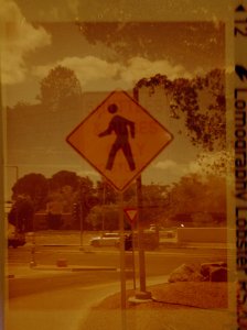 20240702LomoLobsterLomo110-7.jpg